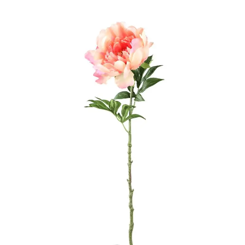 PTMD - Peony Flower Light Pink peony spray