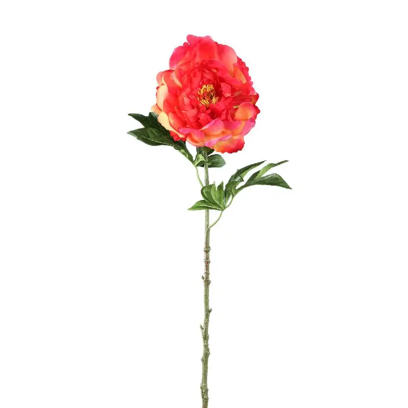 PTMD - Peony Flower Pink peony spray