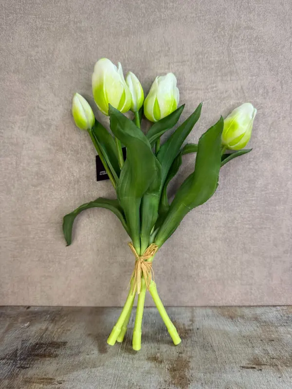 Real touch tulpen | Wit 30