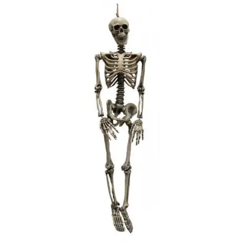 Realistic hanging skeleton (90cm)