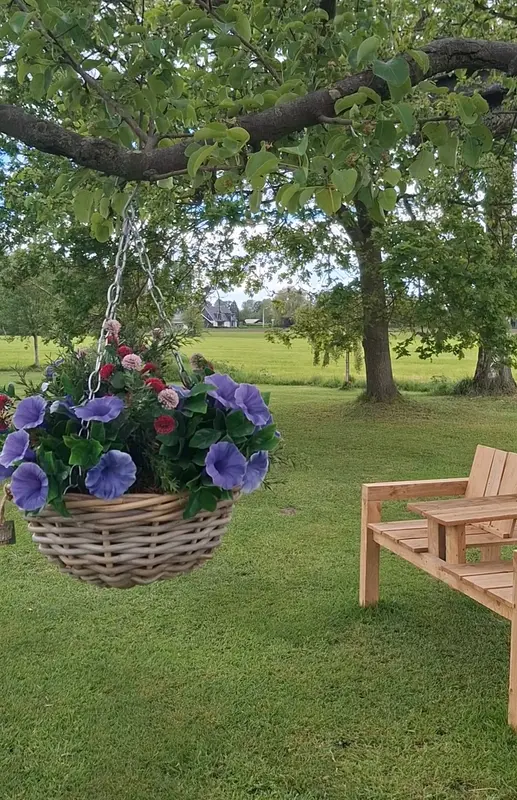 Rotan hangmand 31 cm
