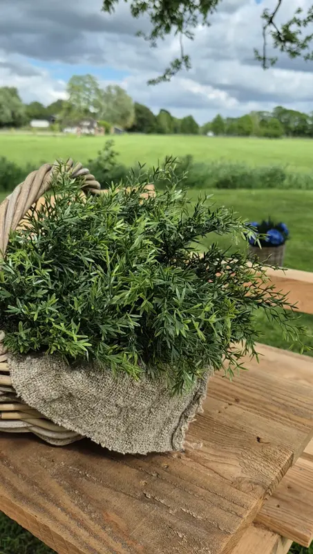 Rotan picknickmand 36x28xH28 cm naturel