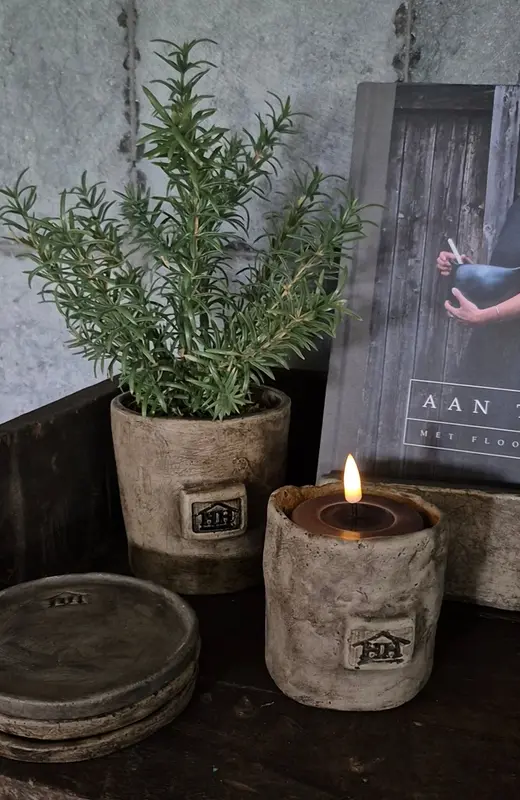 Rozemarijn kruidenplantje op steker 32cm