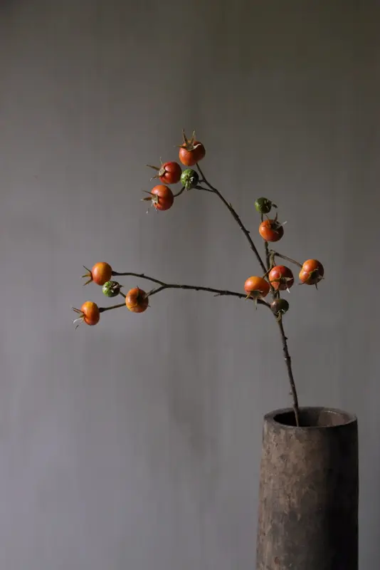 Rozenbottel kunsttak oranje - 66cm