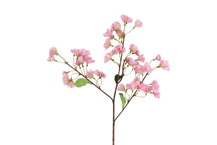 Sakura S lila-L71B10H10CM