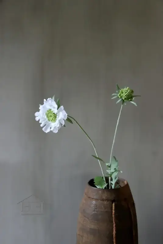 Scabiosa kunstbloem wit - 71 cm