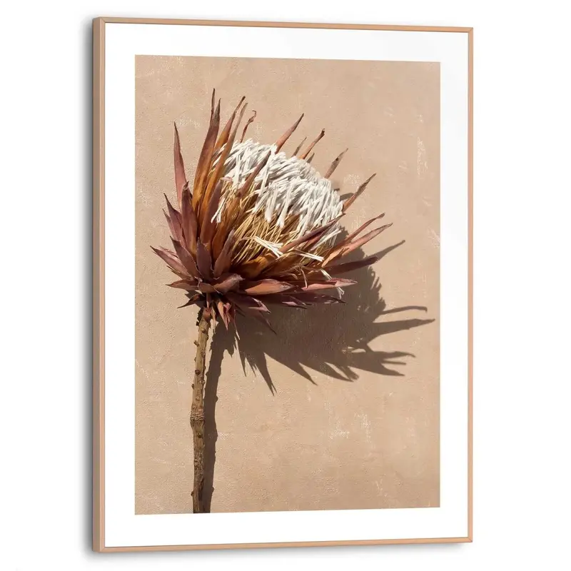 Schilderij Bloem Protea 40x30