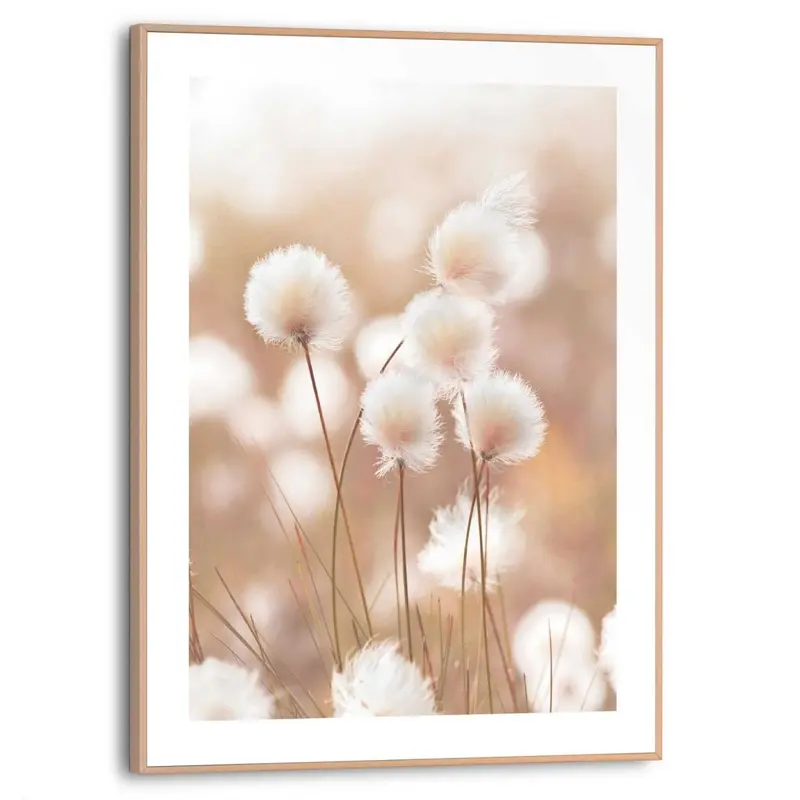 Schilderij Cotton Pops 40x30
