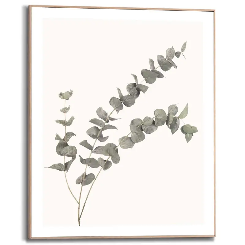 Schilderij Eucalyptus 50x40