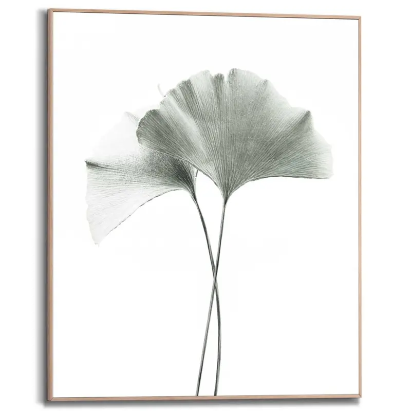 Schilderij Ginkgo Blad 50x40