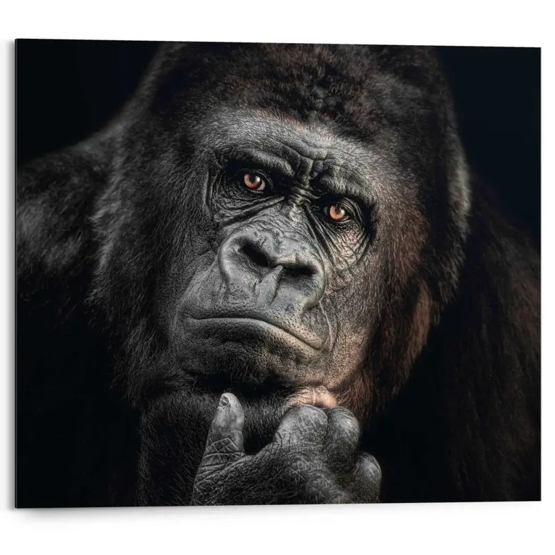 Schilderij Gorilla 40x50