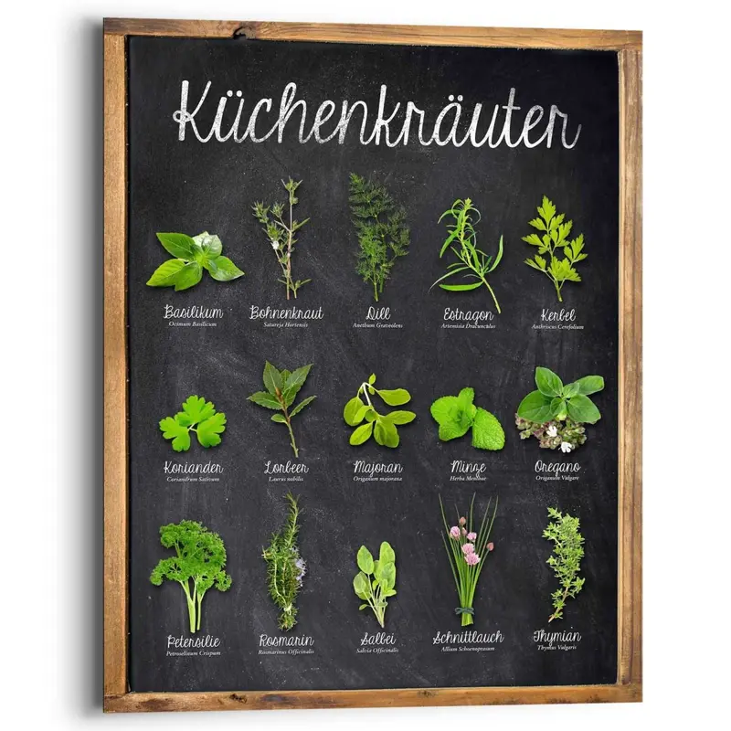 Schilderij Küchenkräuter 50x40