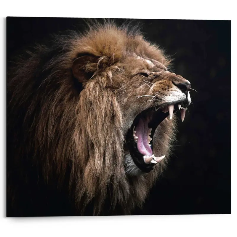 Schilderij Leeuw 40x50