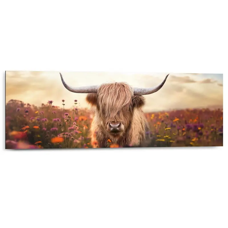 Schilderij Lente schotse hooglander 30x90
