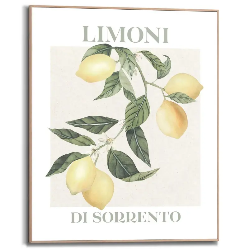 Schilderij Limoni 50x40