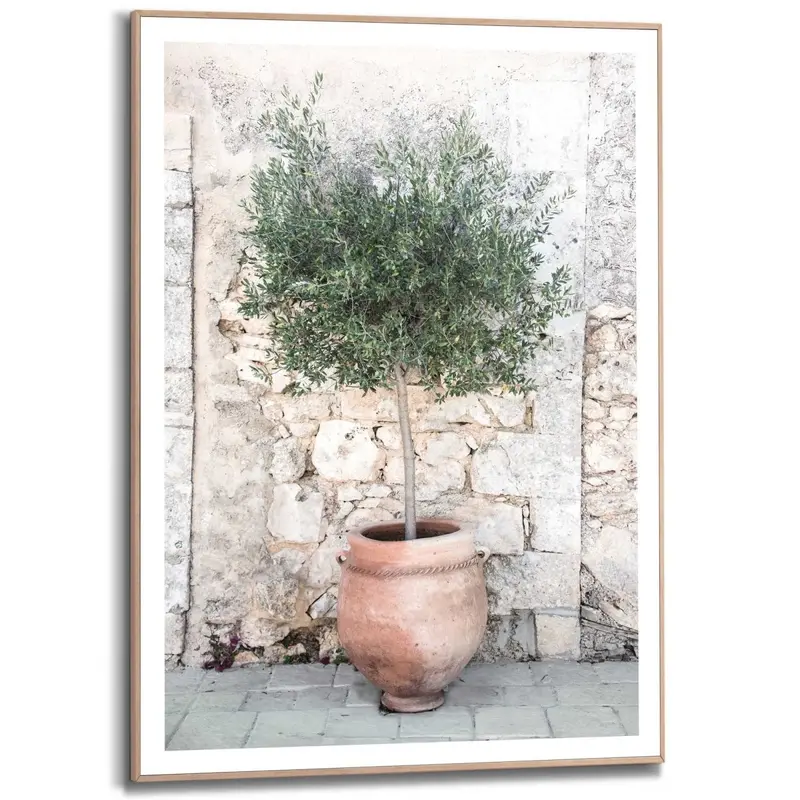Schilderij Olive Tree 70x50