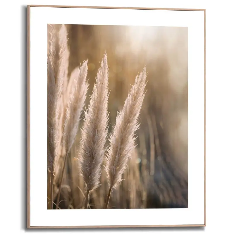 Schilderij Pampas 50x40