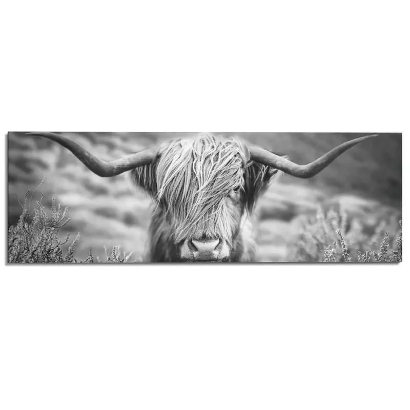 Schilderij Schotse Hooglander 52x156