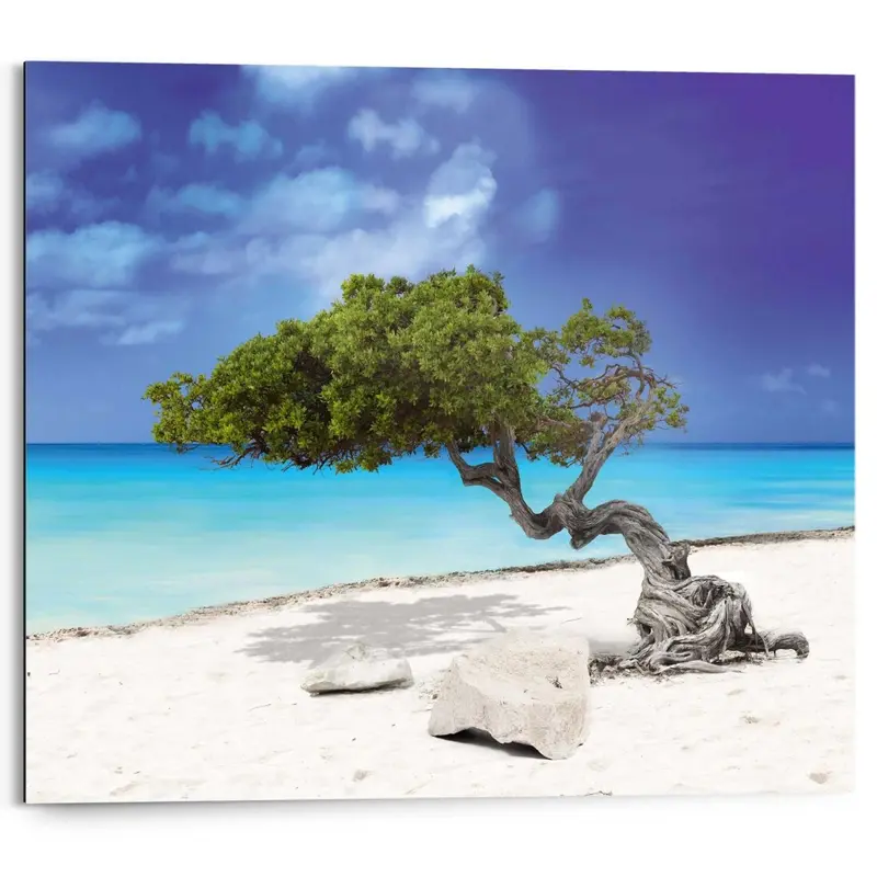 Schilderij Tropisch Eiland 40x50
