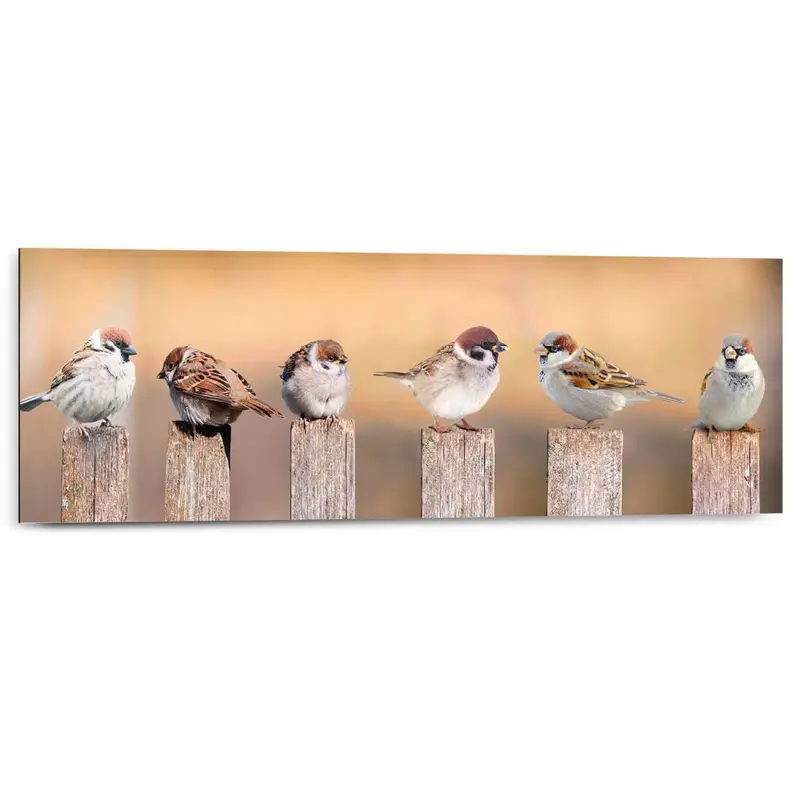 Schilderij Vogels 30x90