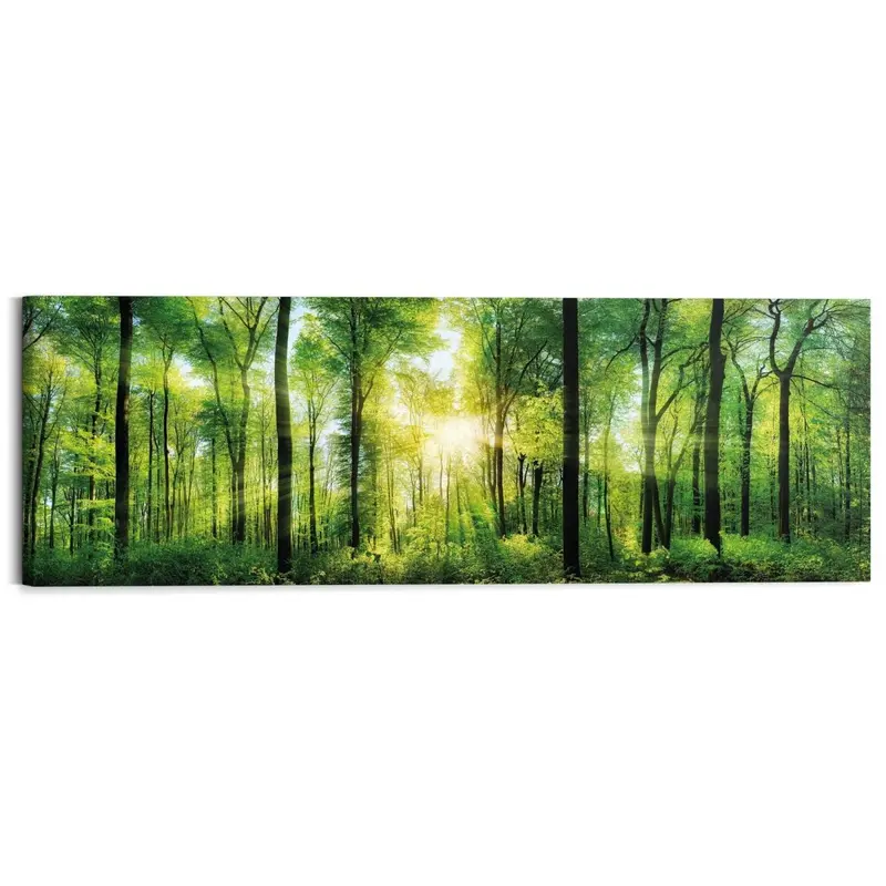 Schilderij Zomer bos 40x118