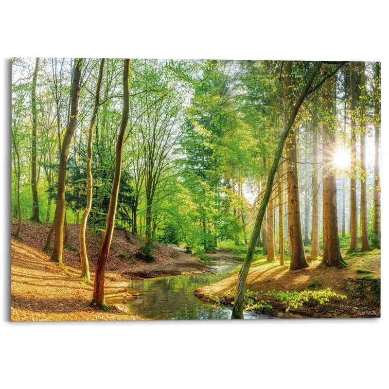 Schilderij Zonnig bos 100x140