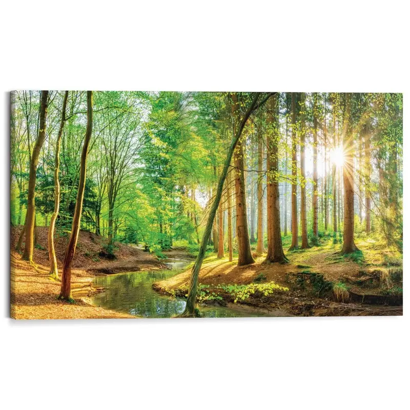 Schilderij Zonnig bos 70x118