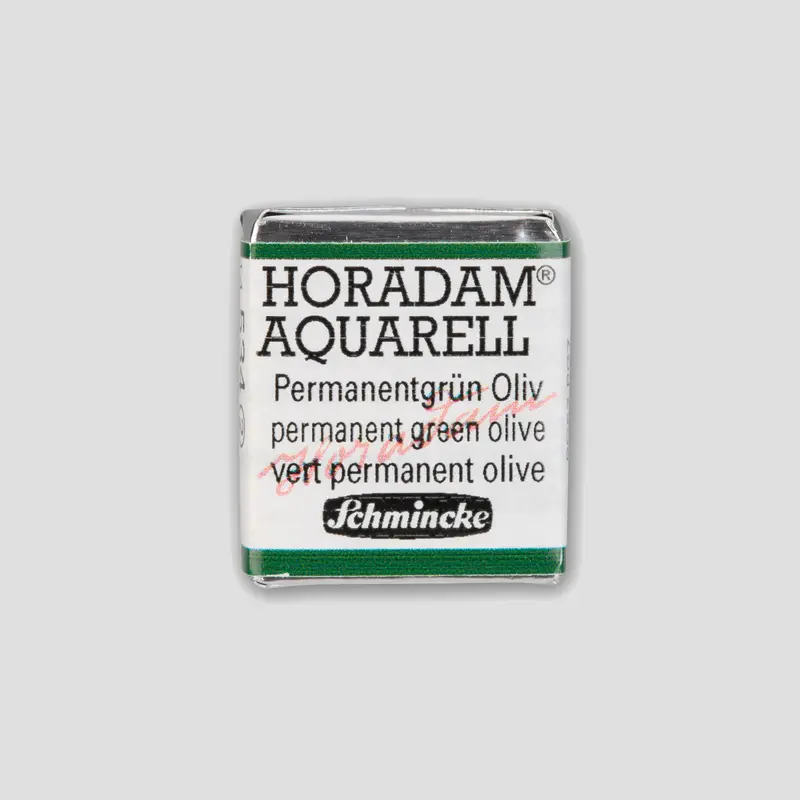 Schmincke Horadam Aquarelverf 534 Permanent Green Olive half pan 2