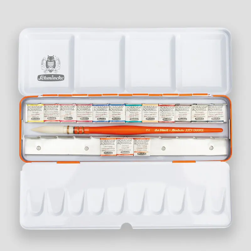 Schmincke Horadam set 15 half pan Juicy