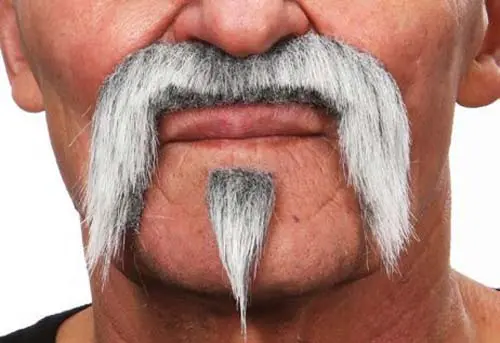 Snor Harley grijs