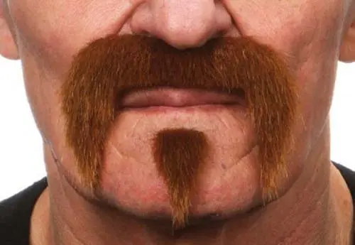 Snor Harley lichtbruin