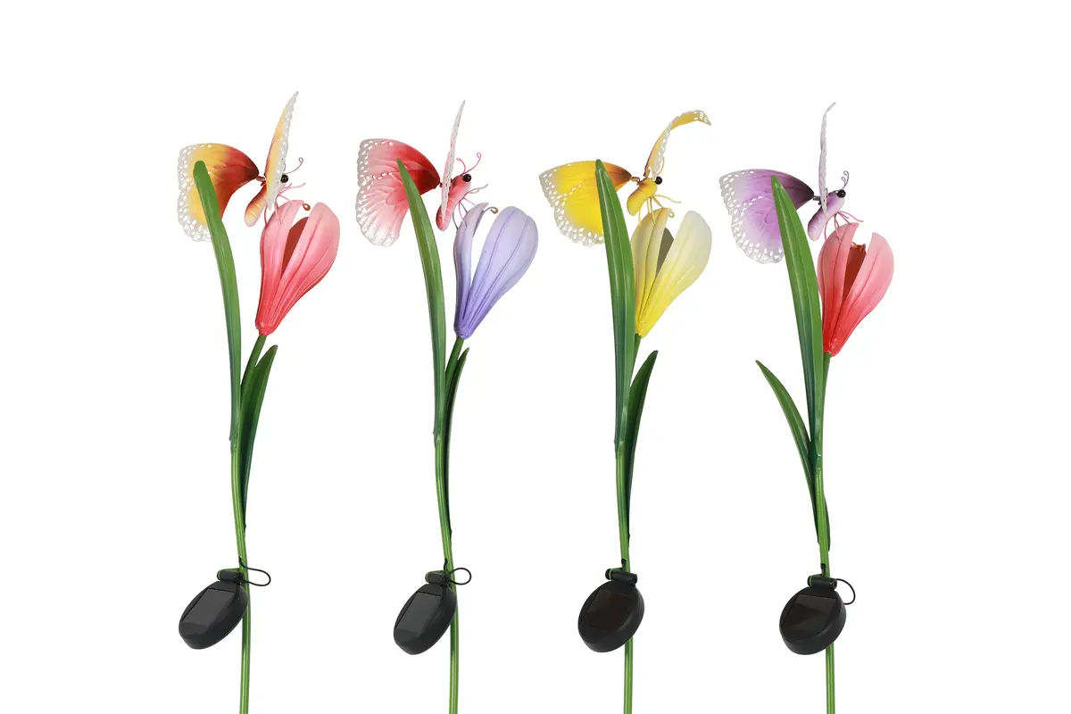 Solar op stok Crocus butterfly a4 veelkleurig