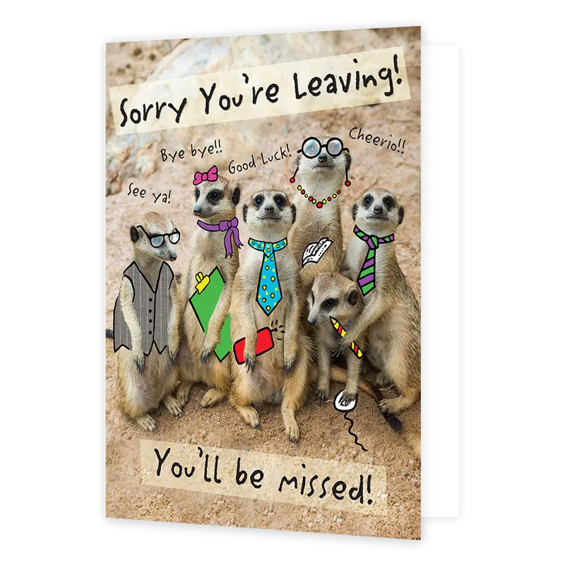 Sorry you're leaving! You'll be missed!