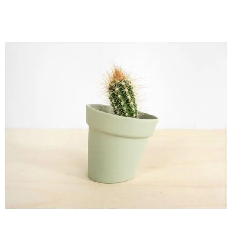 Studio Lorier Distorted Flowerpot | Green