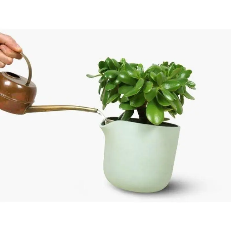 Studio Lorier Natural Balance | Mint Green
