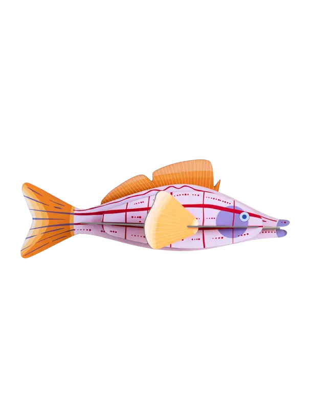 Studio ROOF - Longnose Hawkfish