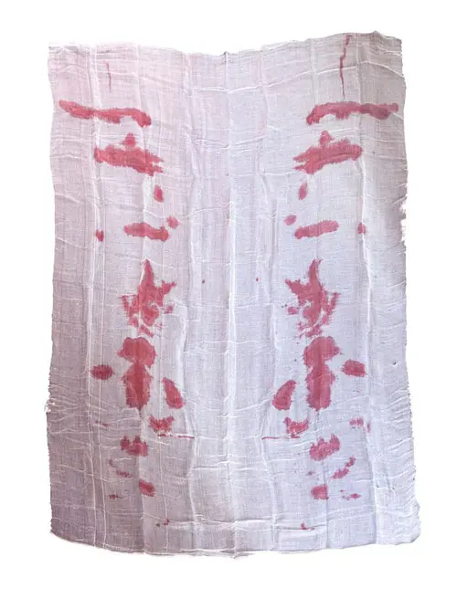 Tafelkleed Bloodlust 213x152cm