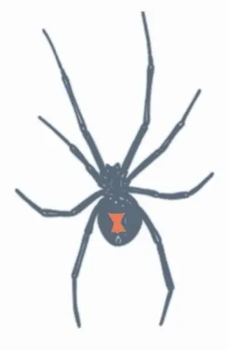 Tattoo Prison Black widow