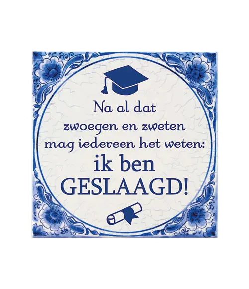 Tegel Delfts blauw - Geslaagd school
