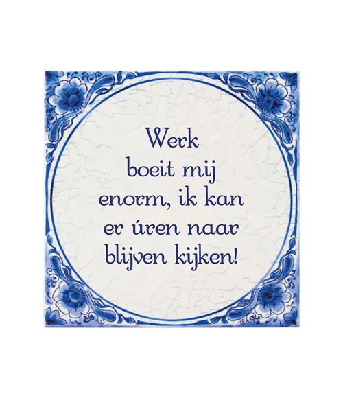 Tegel Delfts blauw - Werk boeit