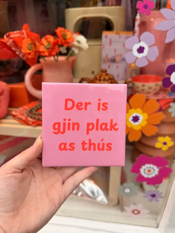 Tegeltje - Der is gjin plak as thús