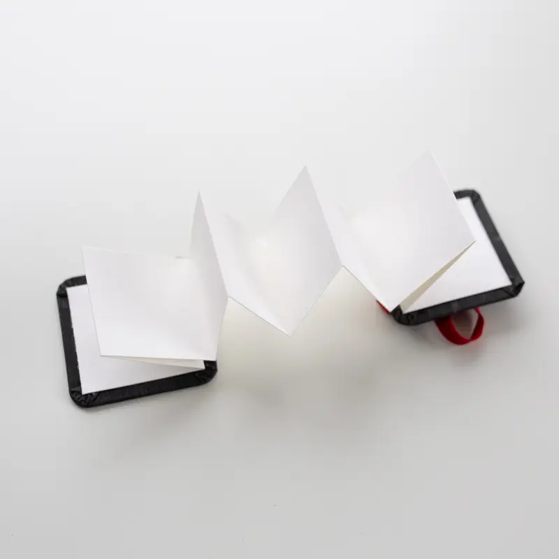 The ZigZag Book 300gms 5x5