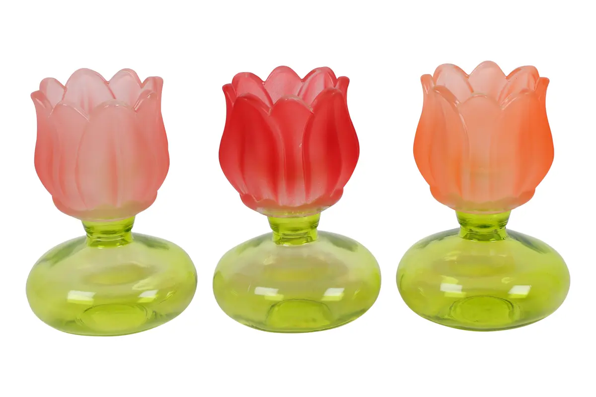 Theelichth fles op basis Tulip a3 veelkleurig