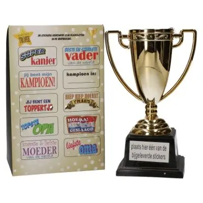Trofee DIY stickers meerkleurig XL