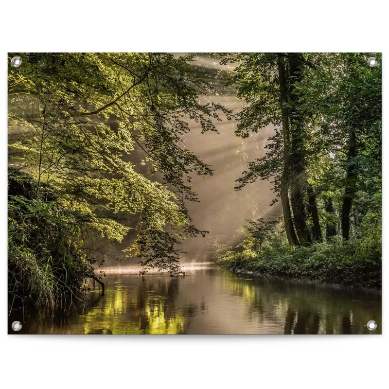 Tuinposter Beek in het bos 60x80
