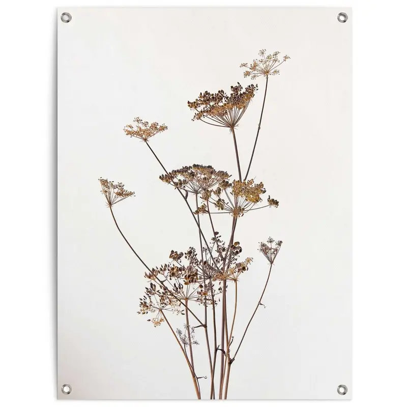 Tuinposter Bereklauw 80x60