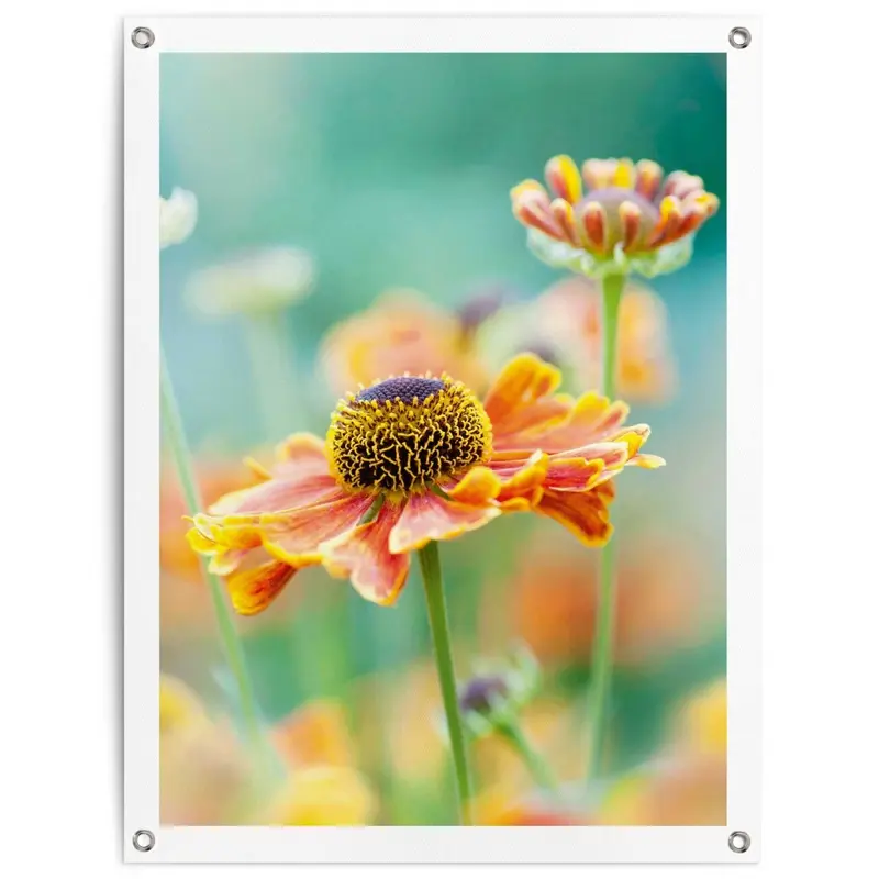 Tuinposter Bloem 80x60