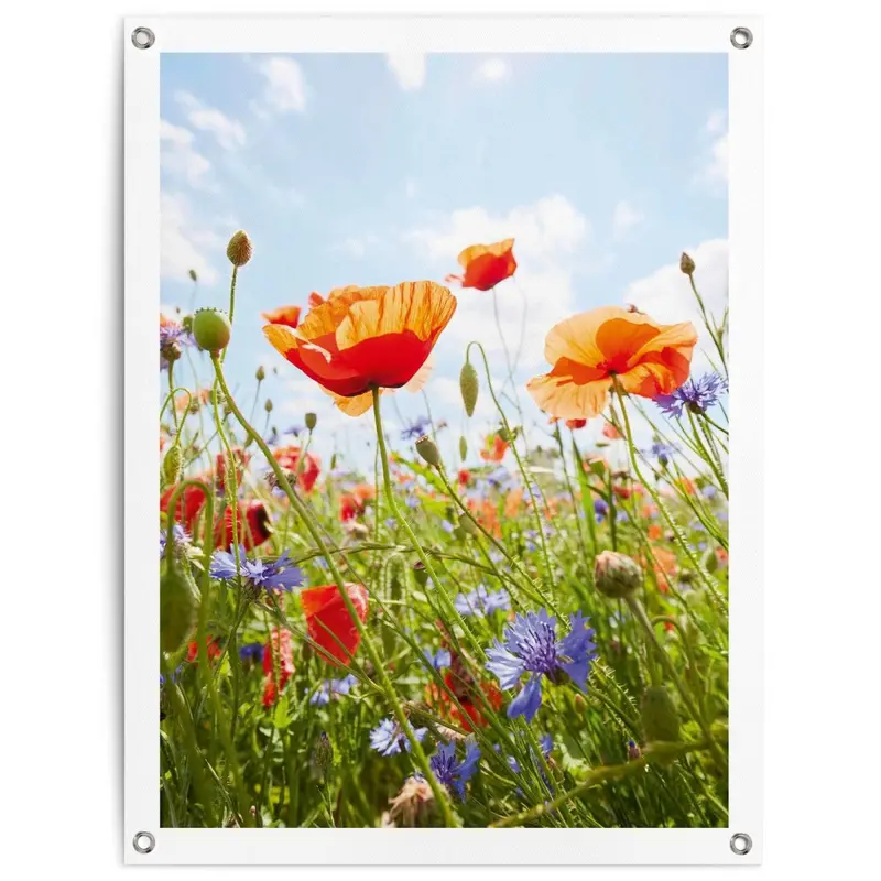 Tuinposter Bloemenveld 80x60