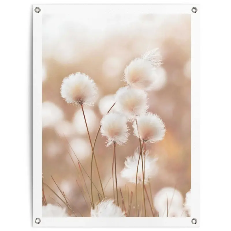 Tuinposter Cotton Field 80x60