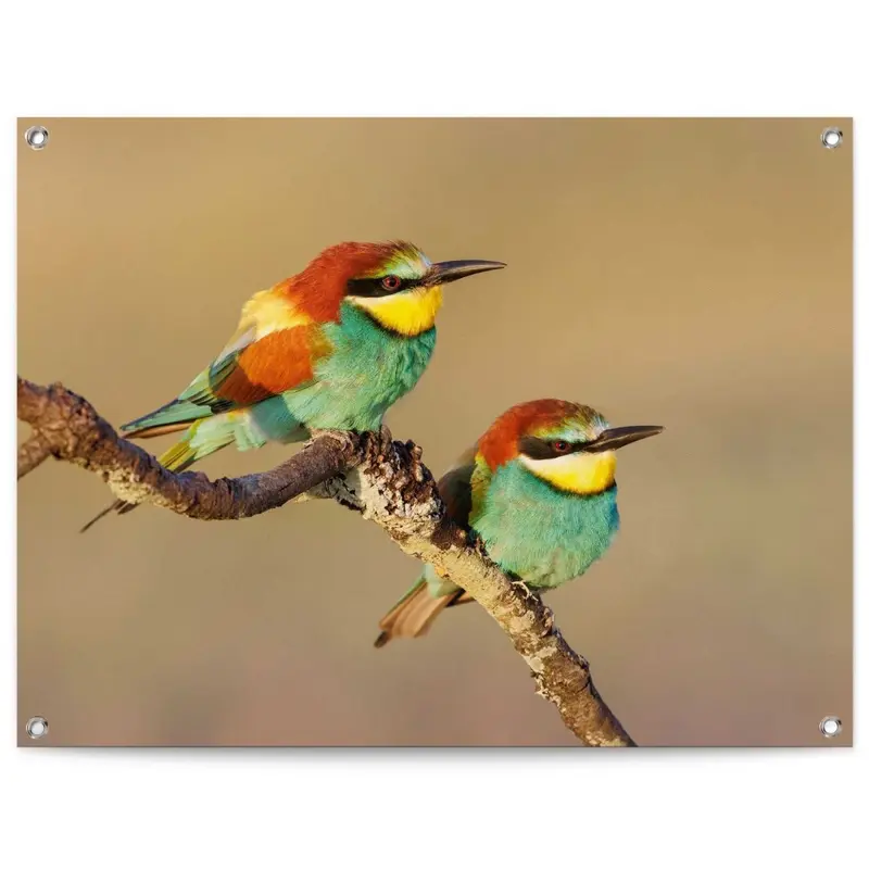 Tuinposter De Bijeneter 60x80
